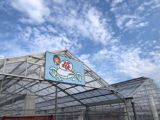 茅ヶ崎ナベヤ苺園 